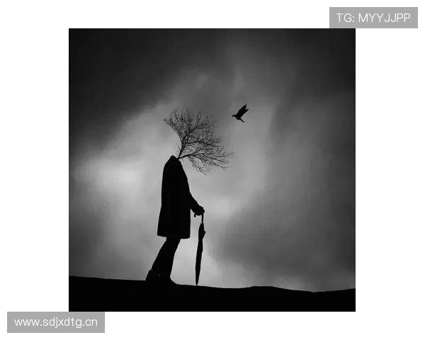 不羁的天空:冲破束缚,拥抱自由的灵魂 不羁的天空:冲破束缚,拥抱自由的灵魂