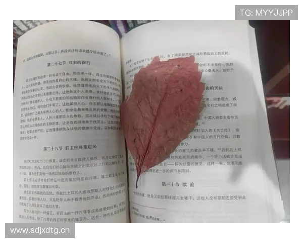 《被遗忘的女儿》:一段被时光尘封的破碎往事,一次颠覆认知的窒息追寻 《被遗忘的女儿》:一段被时光尘封的破碎往事,一次颠覆认知的窒息追寻