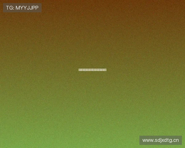 唐家理：匠心筑梦，点亮品质生活新篇章