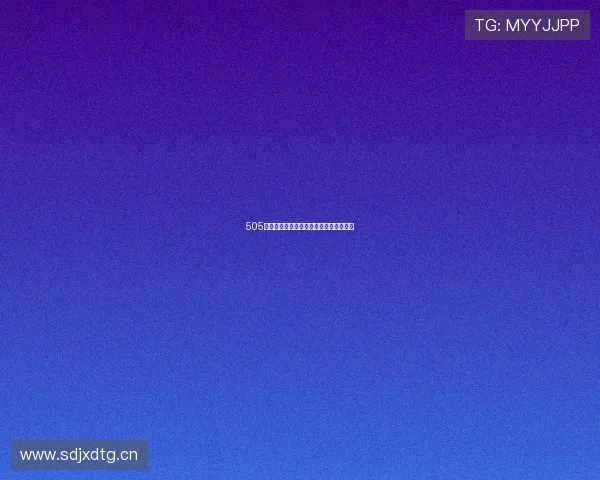 505:不止是数字,更是通往未知世界的密钥 505:不止是数字,更是通往未知世界的密钥