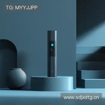 未来愿景与发展